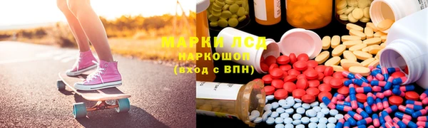 спиды Алзамай