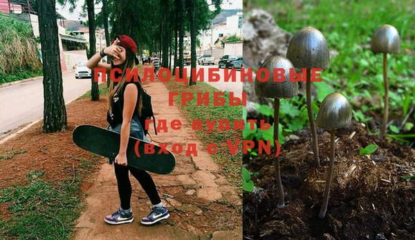 герыч Алексин
