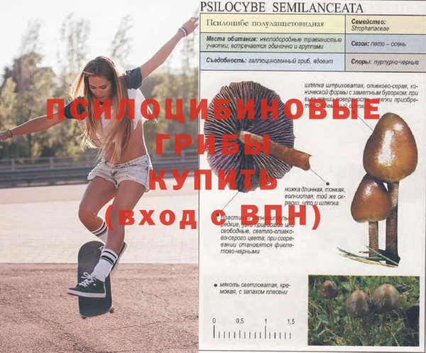 герыч Алексин