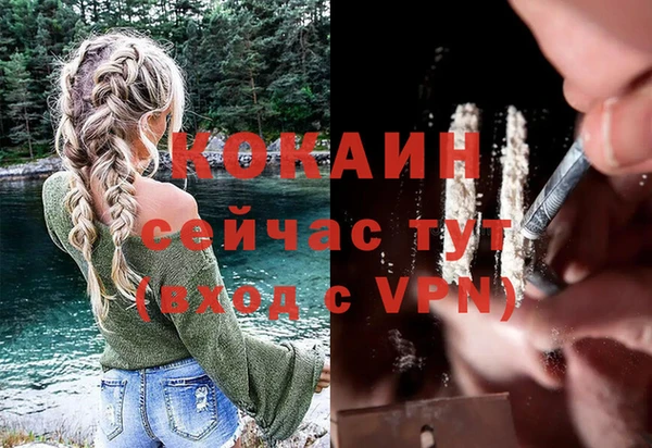 спиды Алзамай